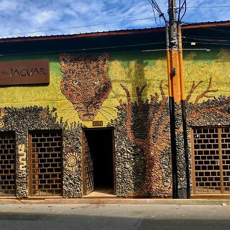 麦德林 Refugio Del Jaguar酒店 外观 照片