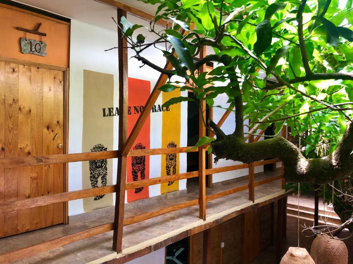 麦德林 Refugio Del Jaguar酒店 外观 照片
