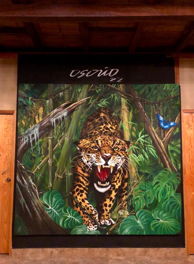 麦德林 Refugio Del Jaguar酒店 外观 照片