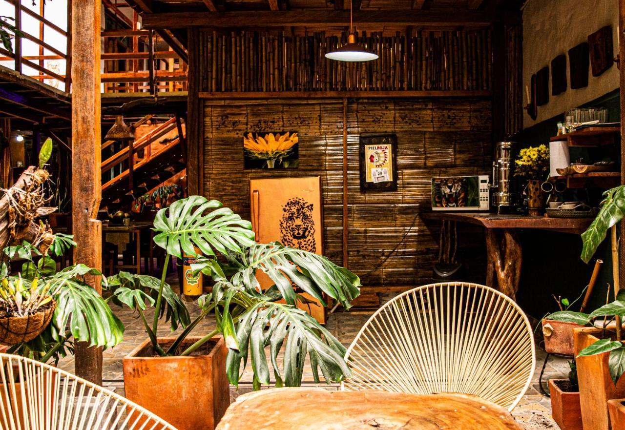 麦德林 Refugio Del Jaguar酒店 外观 照片