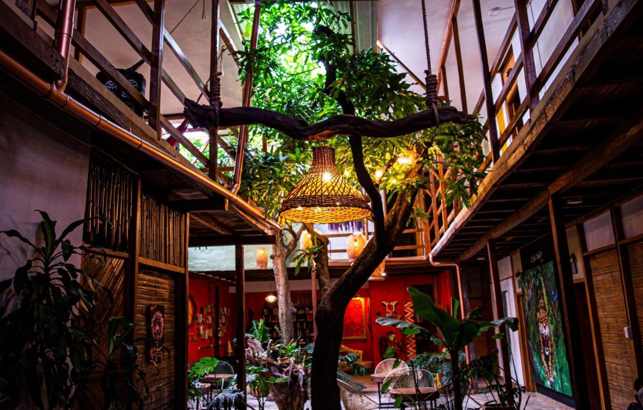 麦德林 Refugio Del Jaguar酒店 外观 照片