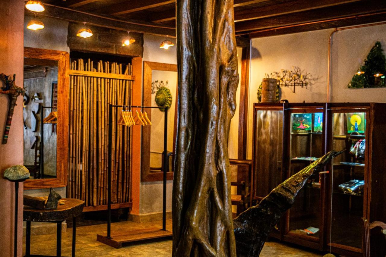 麦德林 Refugio Del Jaguar酒店 外观 照片